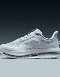 Nike Nike Pegasus Premium