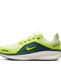 Nike Nike Winflo 11 GORE-TEX