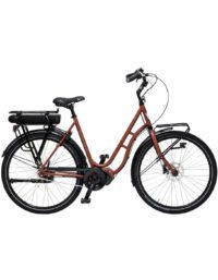 Skeppshult Dam Natur Land El, 7-vxl. 54cm Bär Matt Elcykel  Klassisk 2024