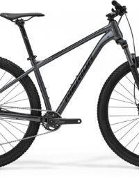 Merida Big.nine Silver 200 Xl 2024