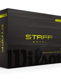 Wilson Staff Model
