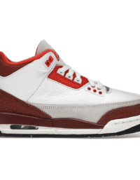 Air Jordan 3 Retro SE Dunk on Mars