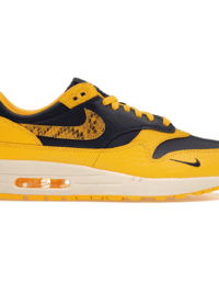 Nike Air Max 1 CO.JP Michigan Head to Head