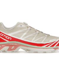 Salomon XT 6 Gore Tex Roasted Clay