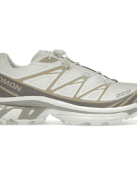 Salomon XT 6 Vanilla Ice Iron Etherea