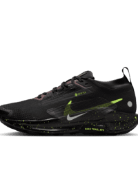 Nike Nike Pegasus Trail 5 GORE-TEX
