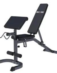 Gorilla Sports Träningsbänk Multibänk Biceps, sit up Svart