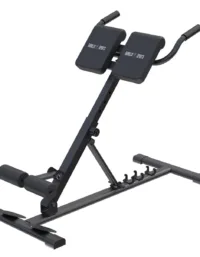 Gorilla Sports Rygglyftsbänk Hyperextension Hopfällbar