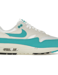 Nike Air Max 1 Dusty Cactus
