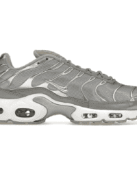 Nike Air Max Plus Metallic Silver