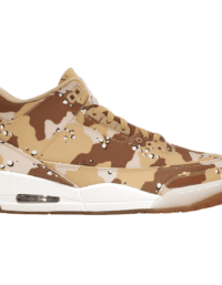 Air Jordan 3 Retro WNBA Desert Camo