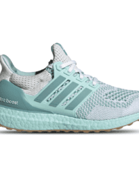 Adidas Ultra Boost 1.0 Mint Ton