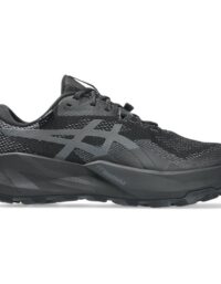 Asics Trabuco 14 GTX Black/Graphite Grey Black/Graphite Grey 40,5