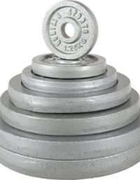 Gorilla Sports IRON Silver, Viktskivor järn