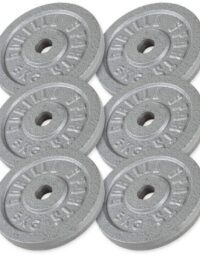 Gorilla Sports Viktskivor IRON Silver - 6x5kg, Viktpaket järn