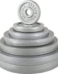 Gorilla Sports Viktskivor IRON Silver 31mm 0,5kg-30kg - 30kg