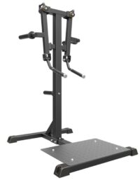 Impulse Axelmaskin Stående Lateral Raise Stål Svart - Impulse IFP