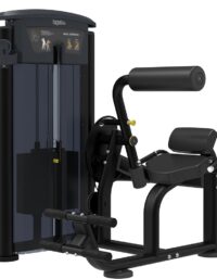 Impulse Back Ext It9532, Styrkemaskin Rygg