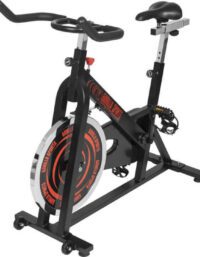 Gorilla Sports Spinningcykel Motionscykel F25x50