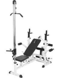 Gorilla Sports Träningsbänk Multi Vit Latsdragstation