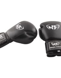 Nordic Fighter Basic Training Boxing Gloves, Boxningshandskar