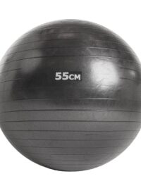 Nordic Fighter Pilatesboll, Gymboll