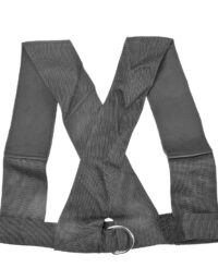 Nordic Fighter Sele, Styrketräning