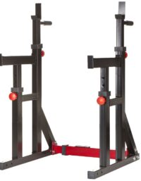 Nordic Fighter Squat Rack / Dip Stand Advanced, Skivstångsställning