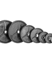 Nordic Fighter Viktskiva Järn 50 mm, Viktskivor järn