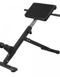 Gorilla Sports Hyperextensionsbänk Rygglyftsbänk Hopfällbar - Svart