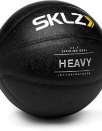SKLZ Heavy Weight Control Basketball