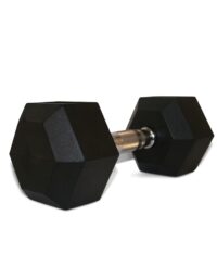 Titan Life PRO Hex Dumbbell Rubber