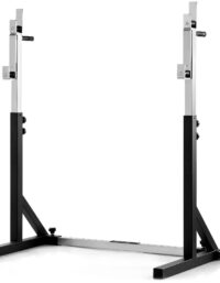 Abilica SquatRack 40, Skivstångsställning