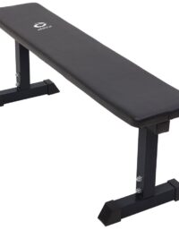 Abilica Weightbench 2.0, Träningsbänk