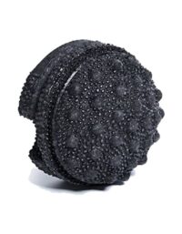 Blackroll Twister, Massageboll