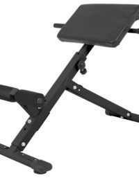 Gorilla Sports Hyperextensions-bänk rygglyftsbänk - Hopfällbar