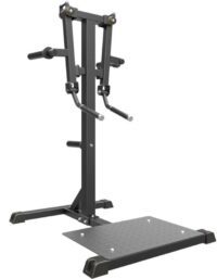 Impulse Standing Lateral Raise Black