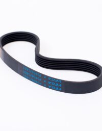 Master Fitness Drive Belt - T22