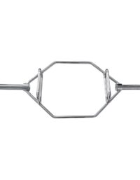 Master Fitness Hexbar