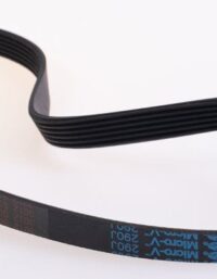 Master Fitness Poly  V  Drivrem R6030