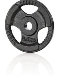 Gymstick Gymstick Iron Viktskiva 1,25-20kg - 2,5kg