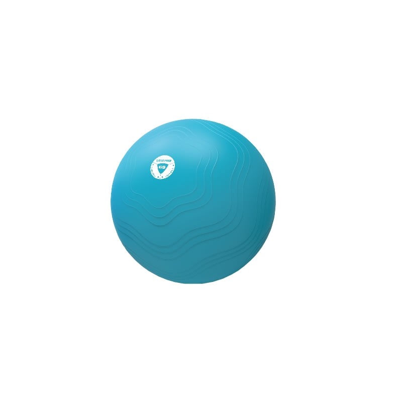 LivePro Livepro Anti-Burst Gymboll - 65cm