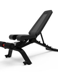 Bowflex Bowflex 4.1S Justerbar Snedbänk