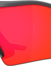 Oakley Radar Plate-Grå Grå | Sportglasögon