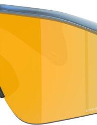 Oakley Stunt Devil Blå | Sportglasögon